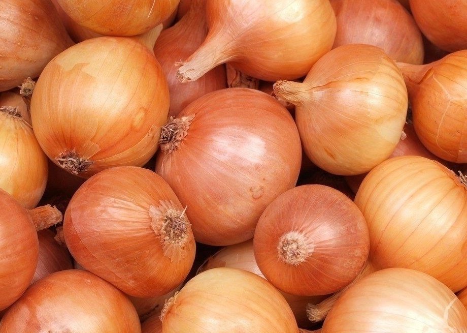 Лук
